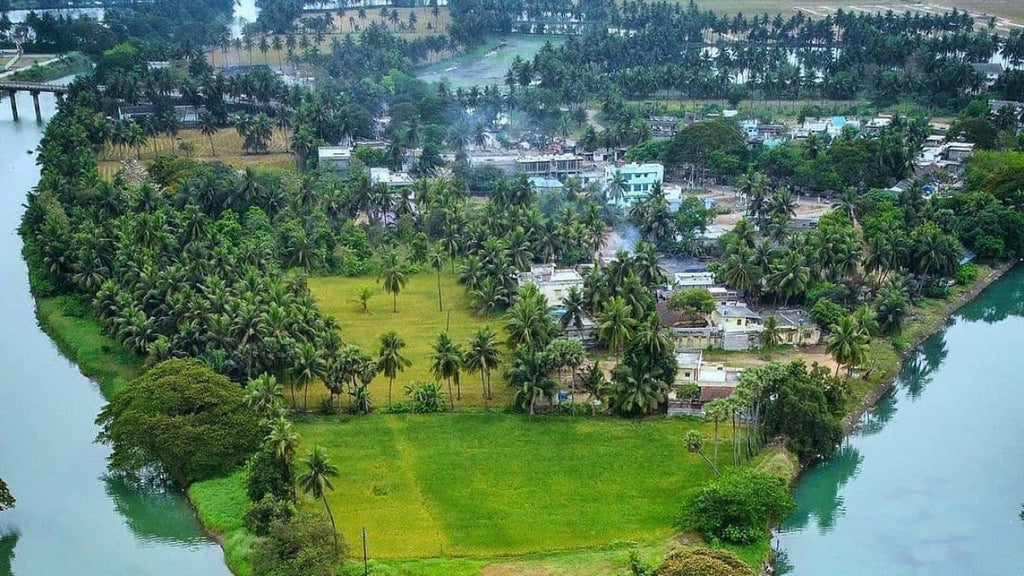 Must-Try Motorcycle Routes in Monsoon in South India